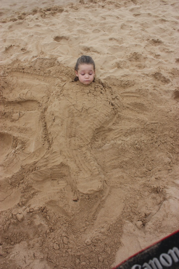 11-22-2012 beach (22)