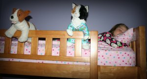 4-10-2013 maggie sleeps