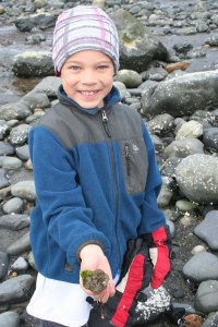 bishop's beach gnome's toe