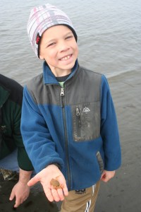 bishop's beach homer alaska clam