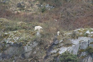 prince william sound-001