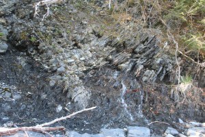 prince william sound-033