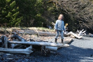 prince william sound-041