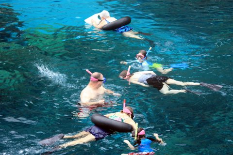 snorkel (10)