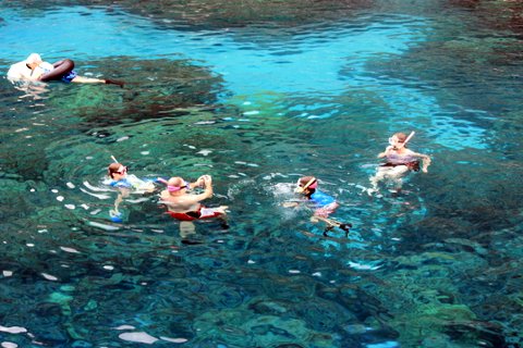 snorkel (11)