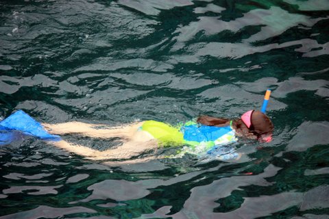 snorkel (8)