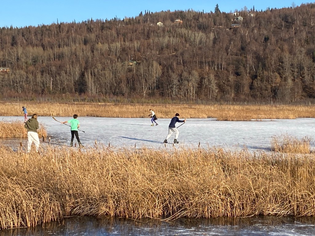 Potter Marsh fireplace