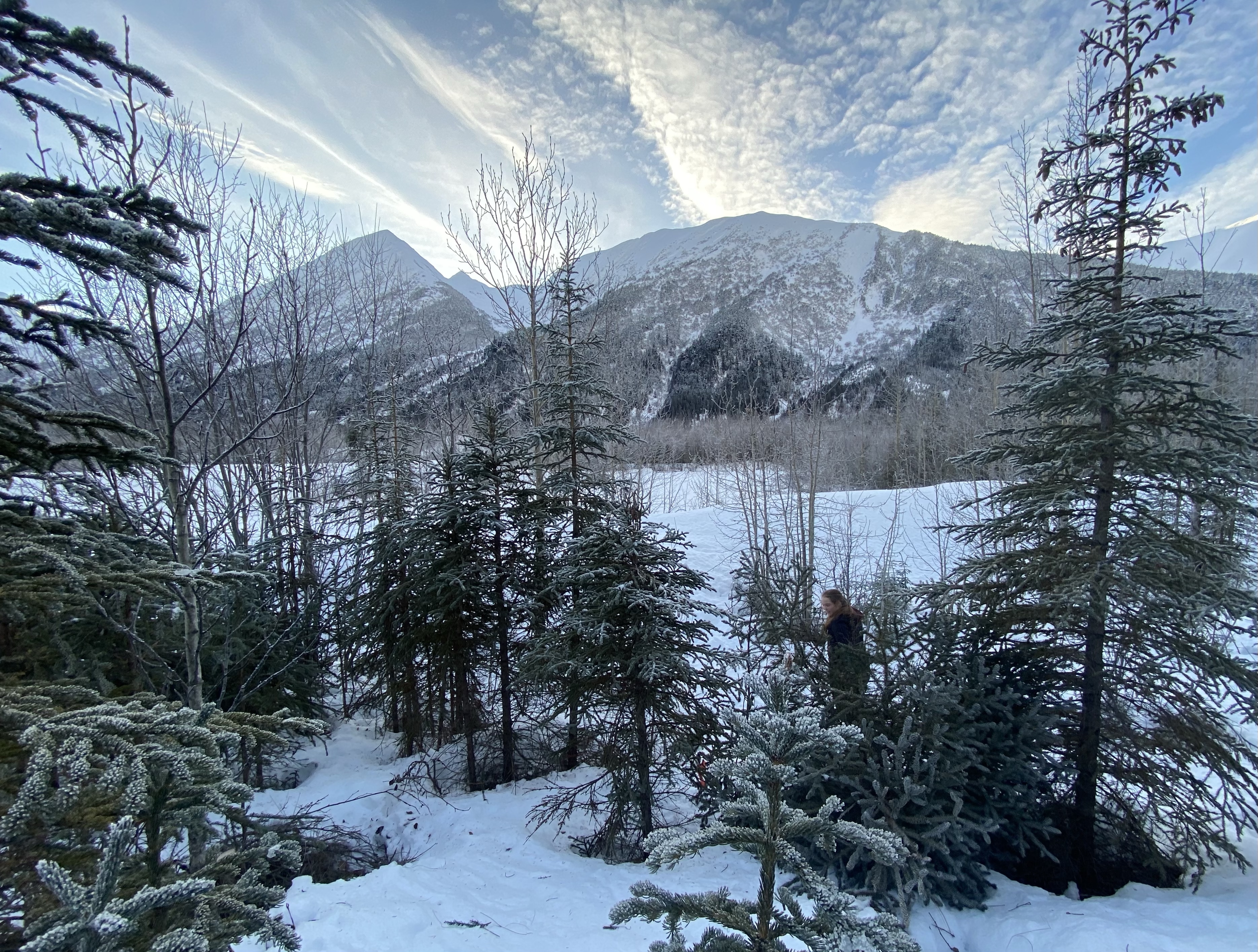 Chugach National forest winter