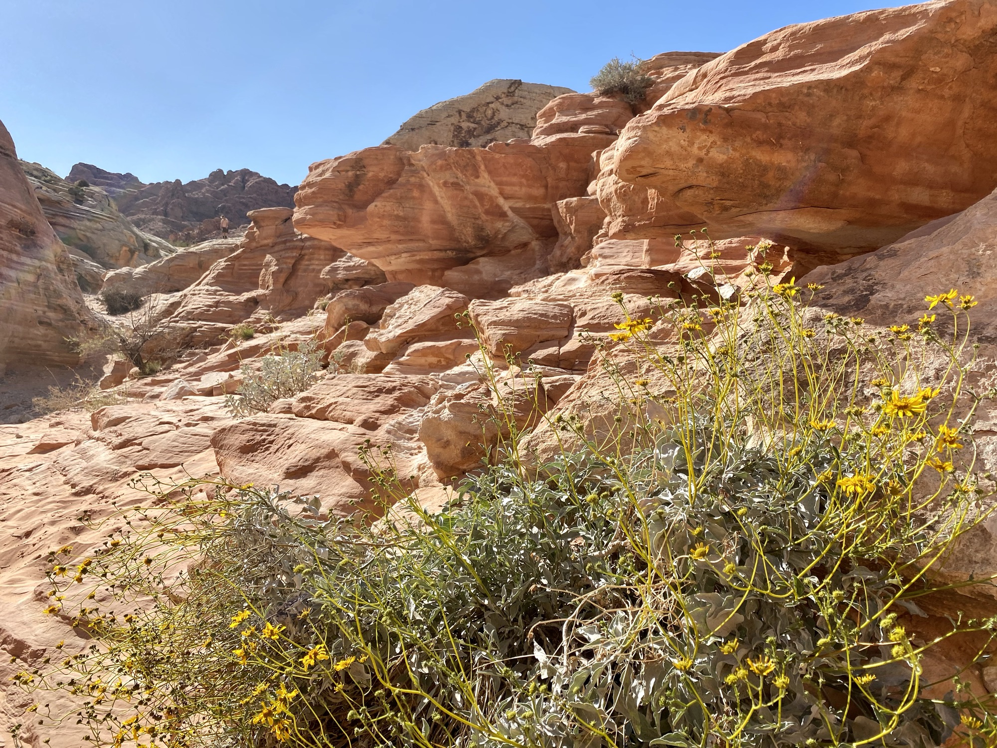 Valley of Fire State Park